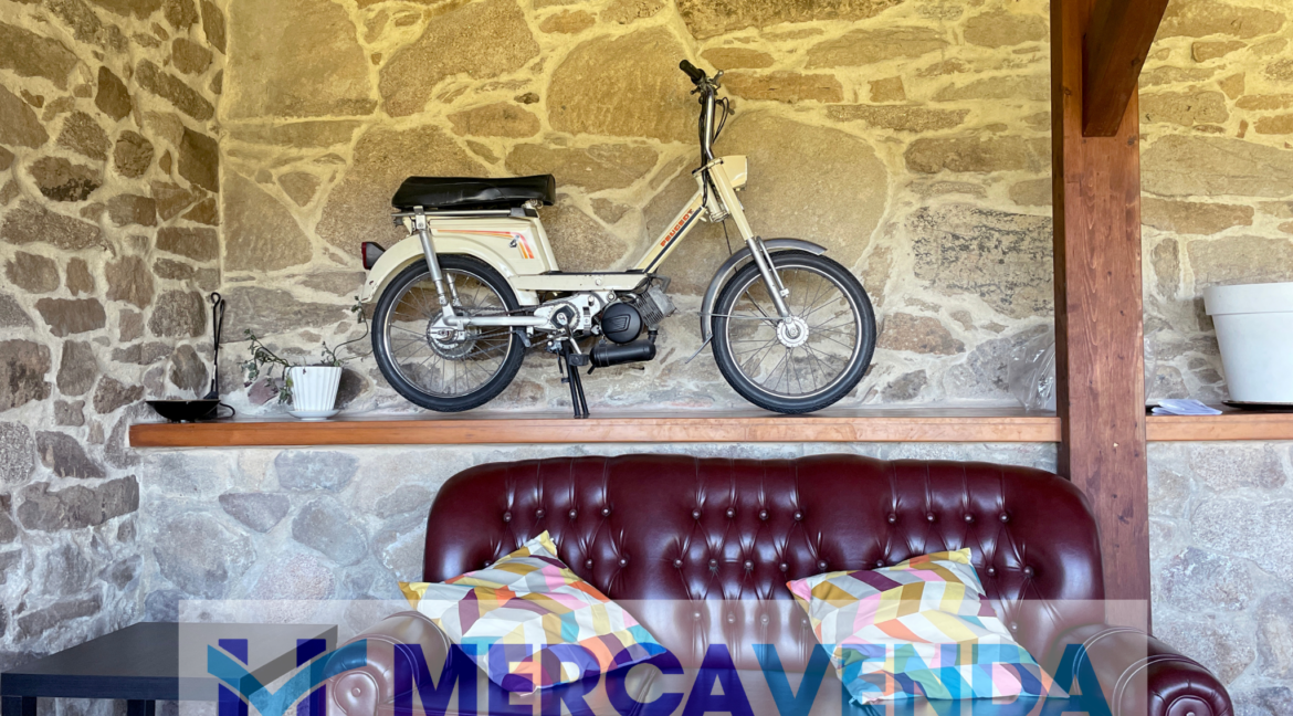 Diseño sin título (15)