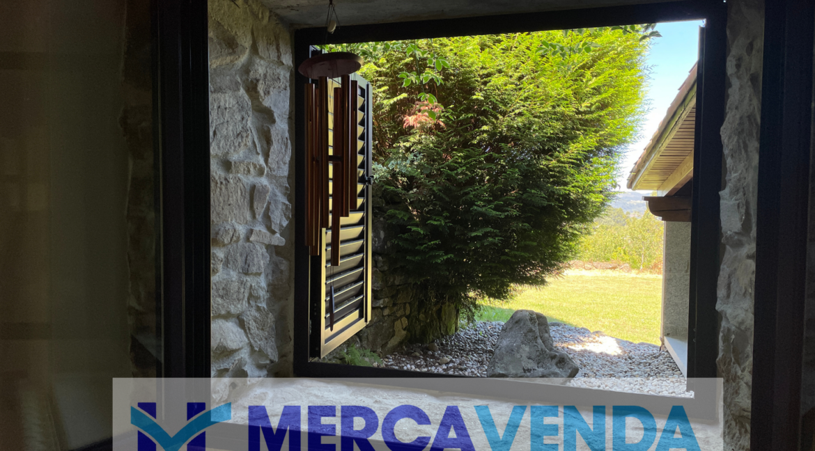 Diseño sin título (19)