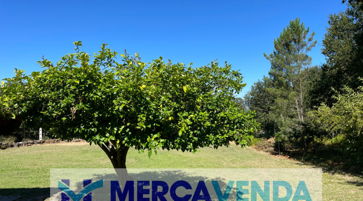 Diseño sin título (8)