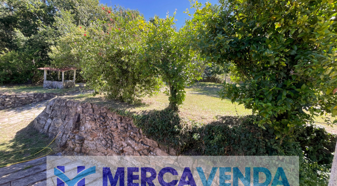 Diseño sin título (9)