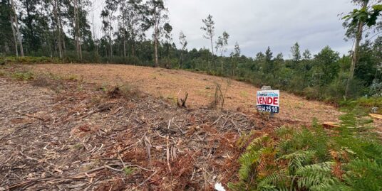 Parcela rústica de 2545m2 muy bien situada – MV1079